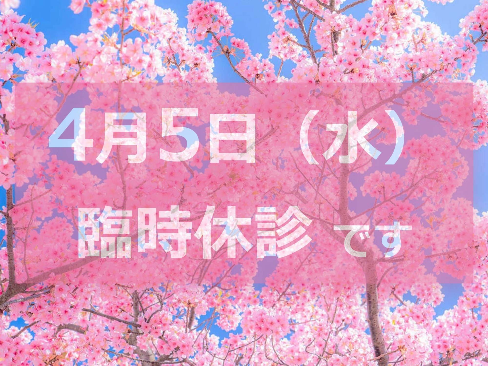 4月5日（水）休診